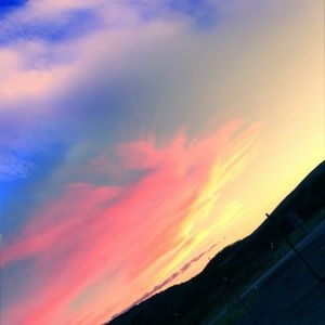 Meet your Posher, Niko